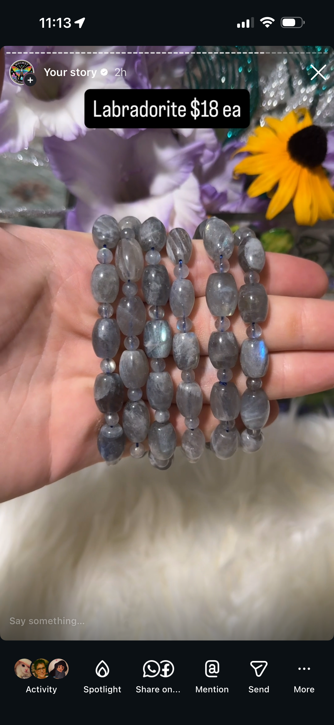 Reserved the crystal dobie