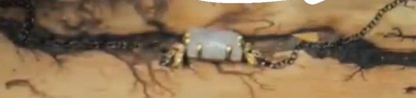 Reserved Christina rose lam