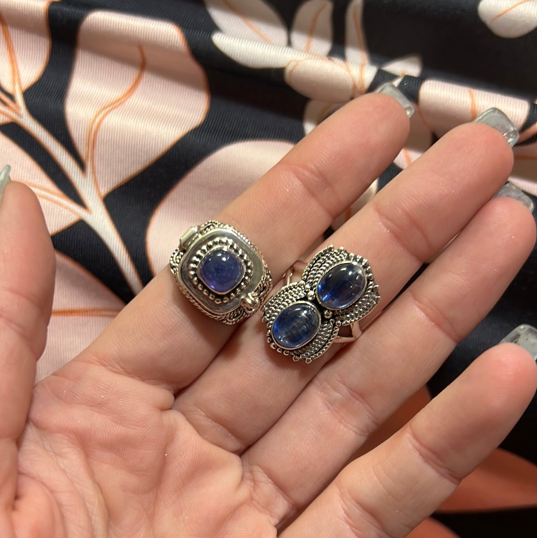 Reserved tipsy gypsy