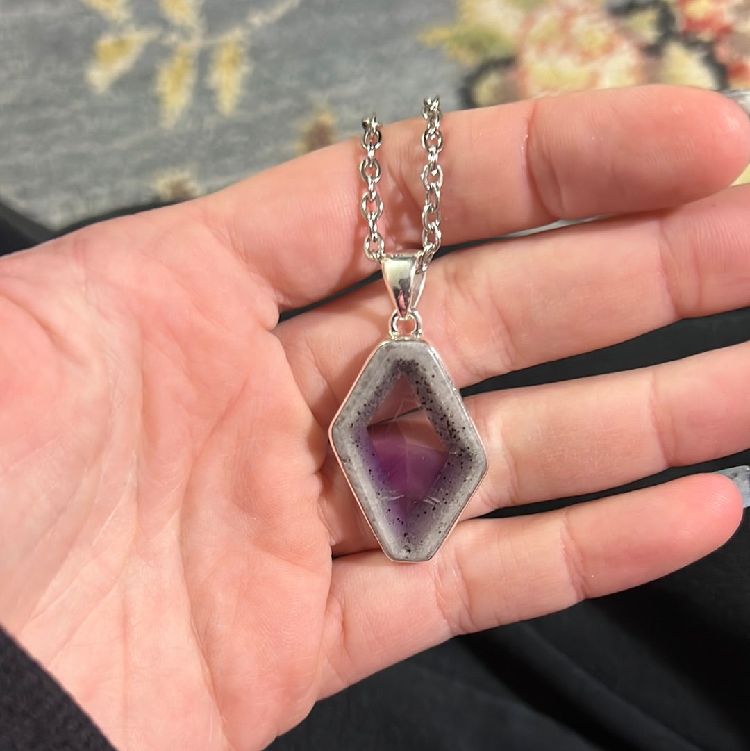 Reserved chasing the wild