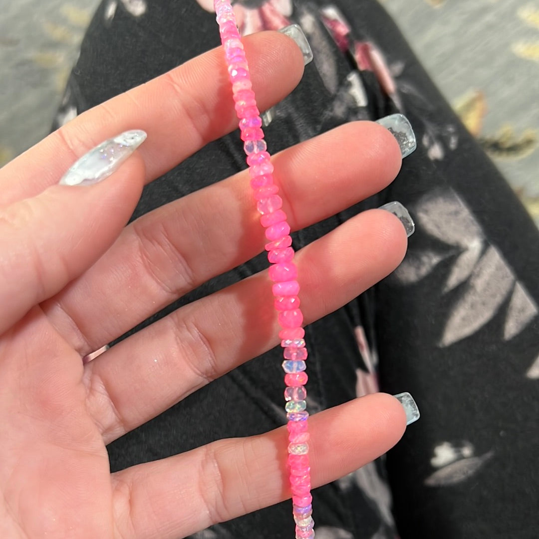 Reserved the last Dinosaur