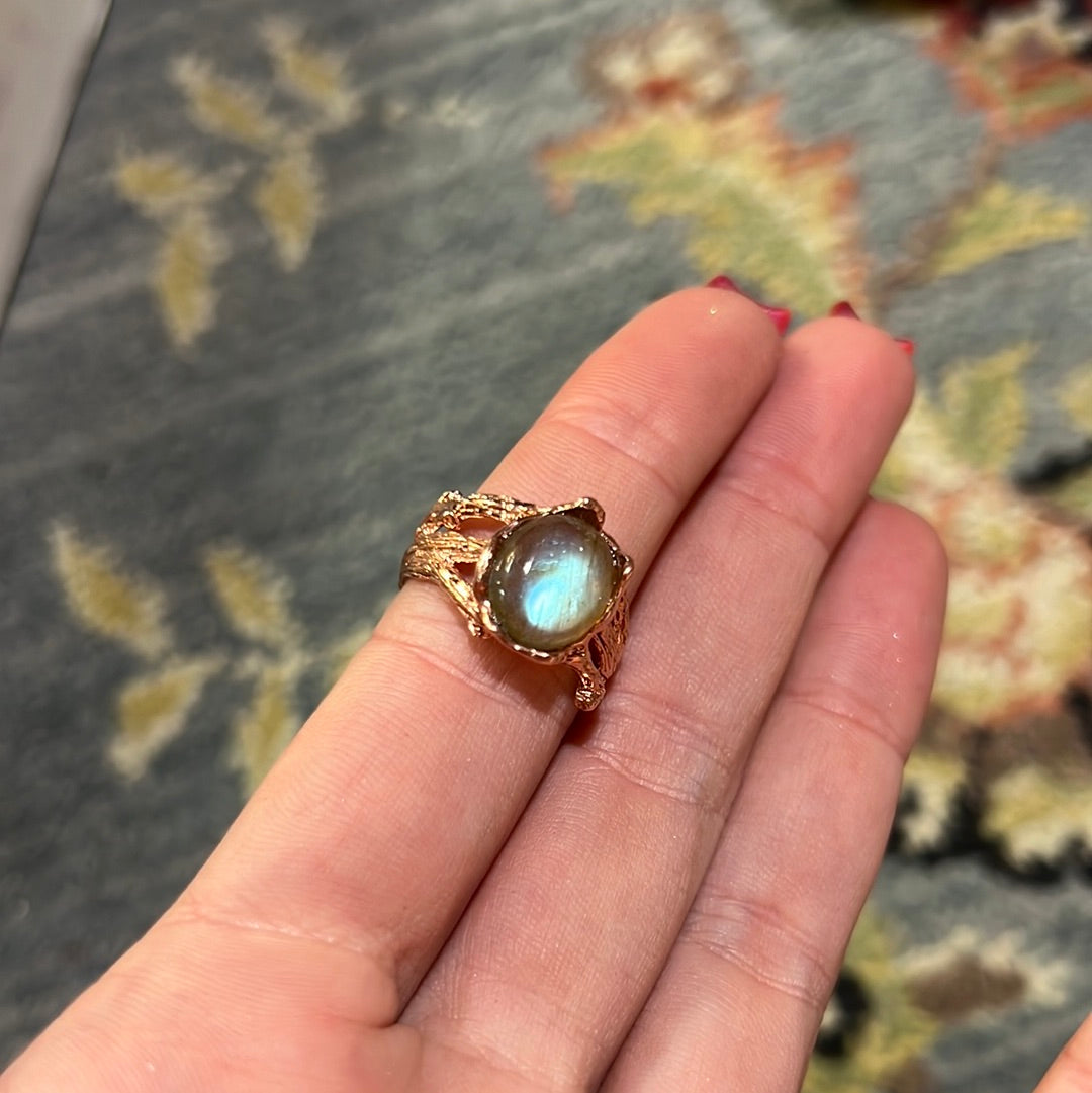 Reserved the crystal dobie