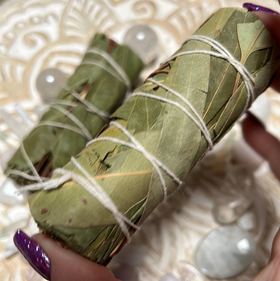 Eucalyptus sage bundle