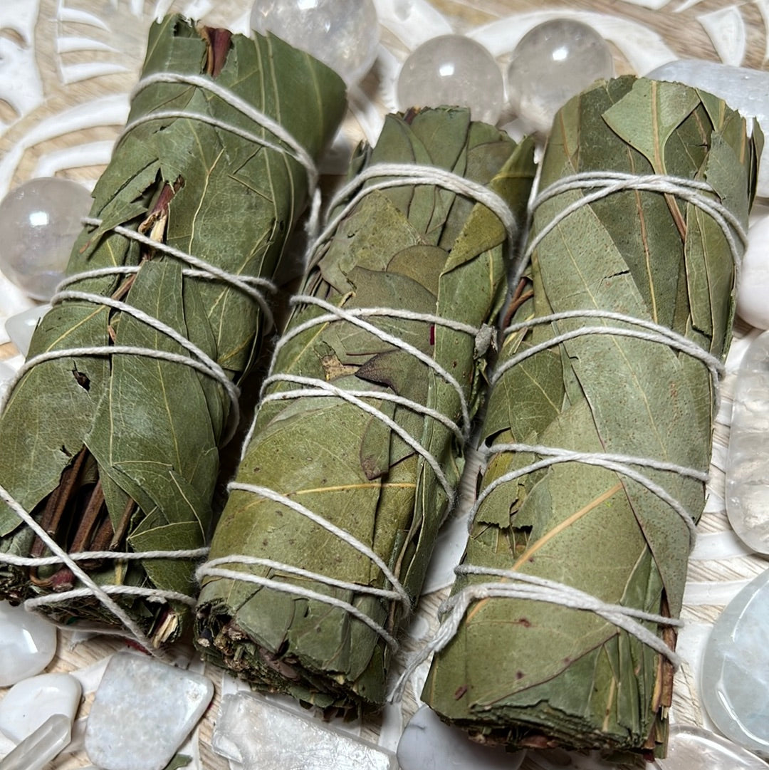 Eucalyptus sage bundle