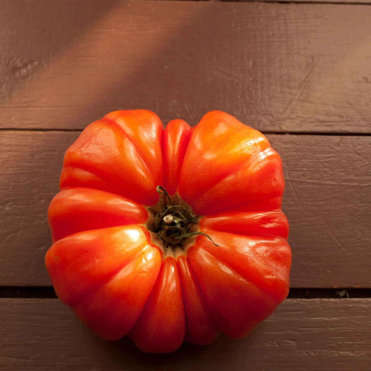 Mushroom Basket Tomato Tarot Garden + Gift Seed Packet