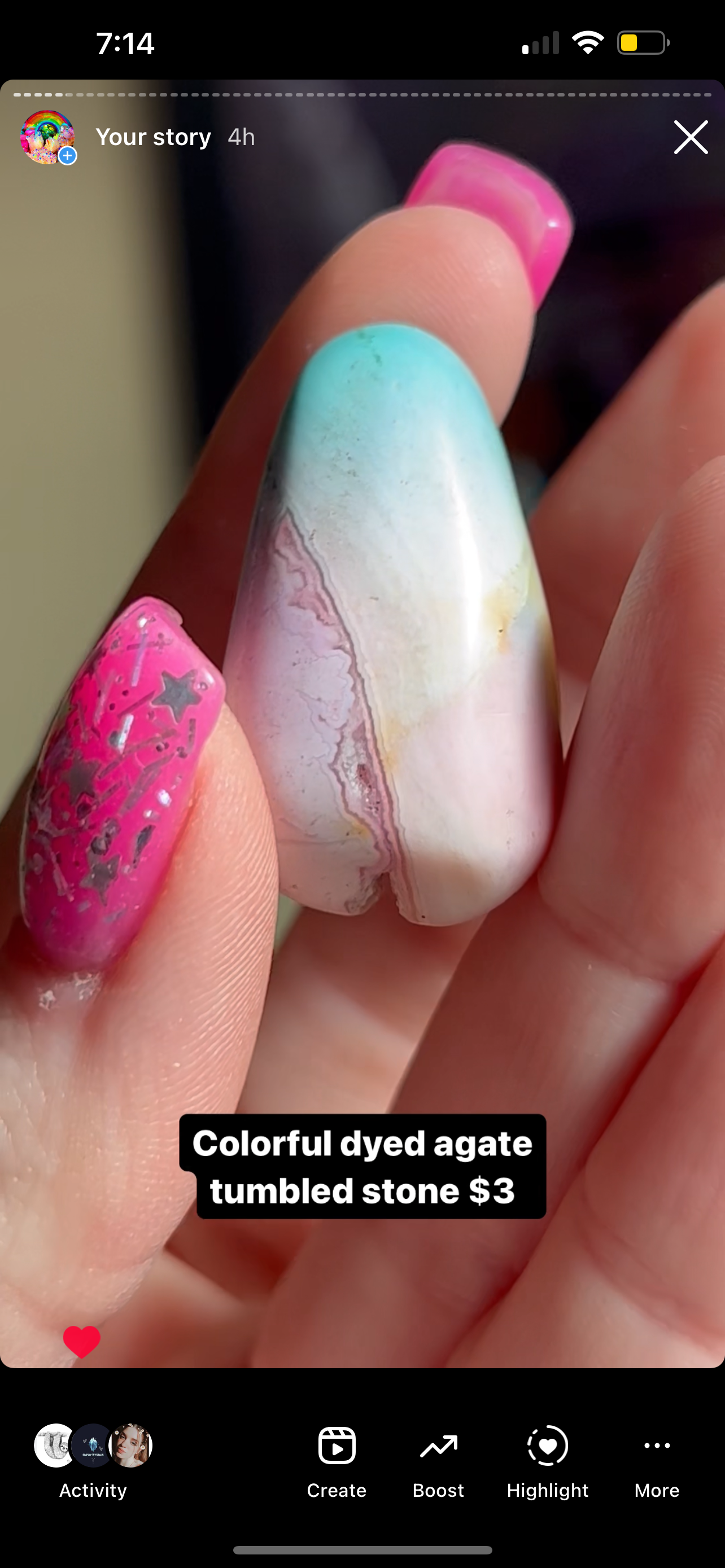 Reserved dark sphinx