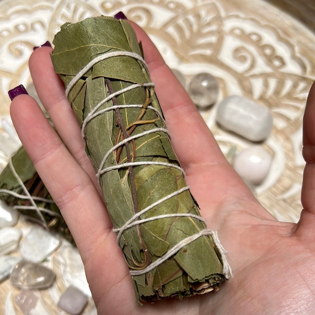 Eucalyptus sage bundle