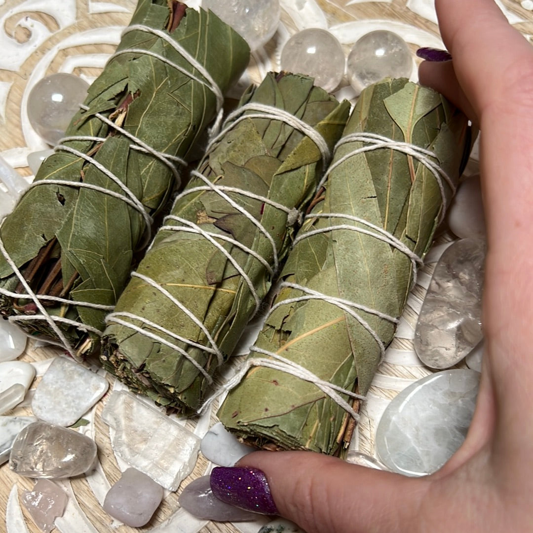 Eucalyptus sage bundle