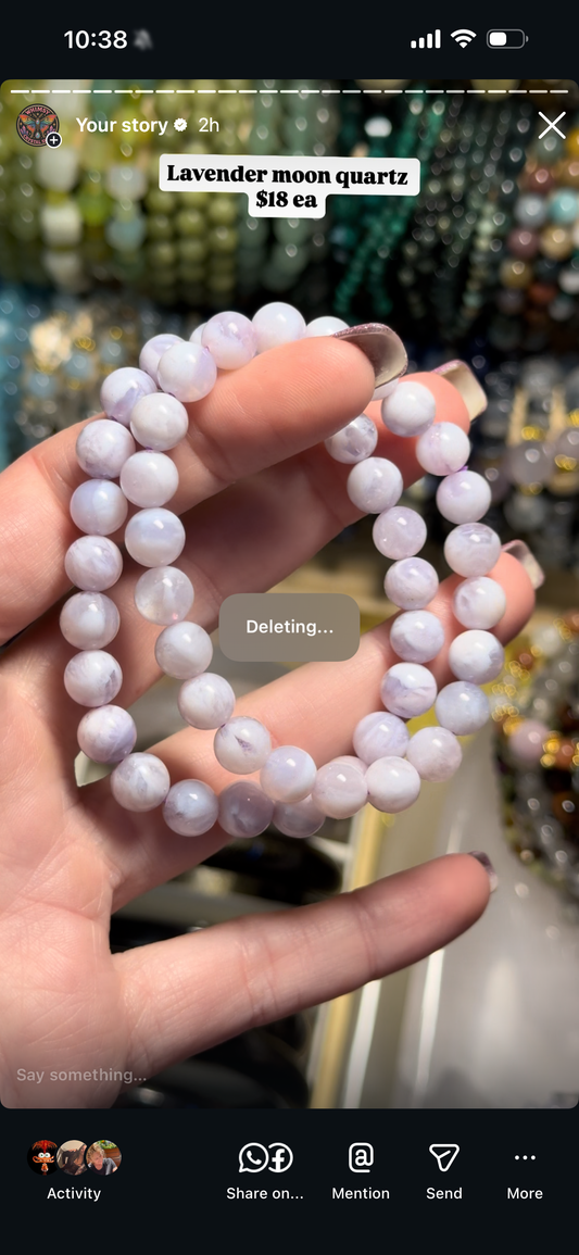 Reserved tinasaurusrex x2