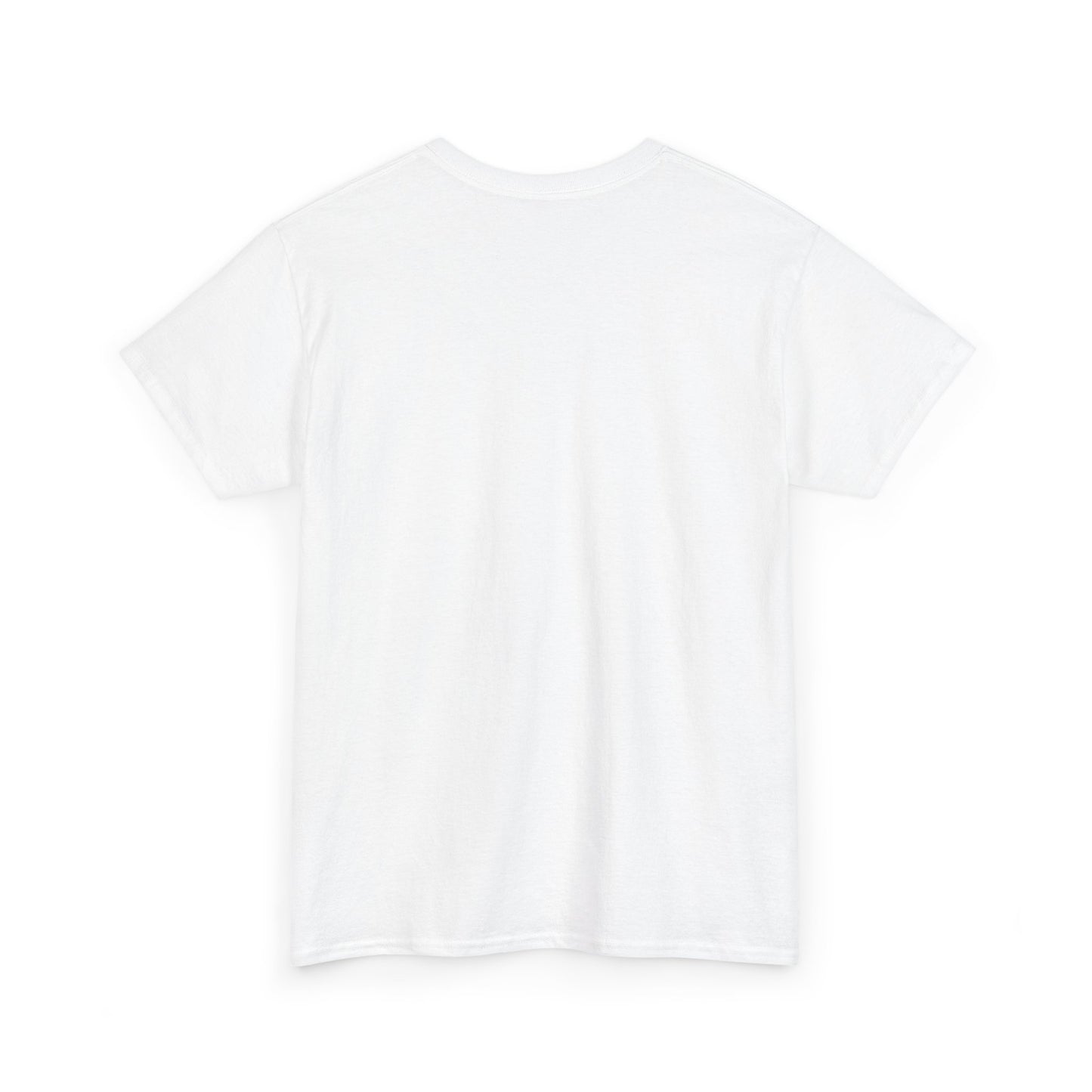 Whimsy Crystal Shop T-Shirt — Rainbow Moth Crystal Healing Tee