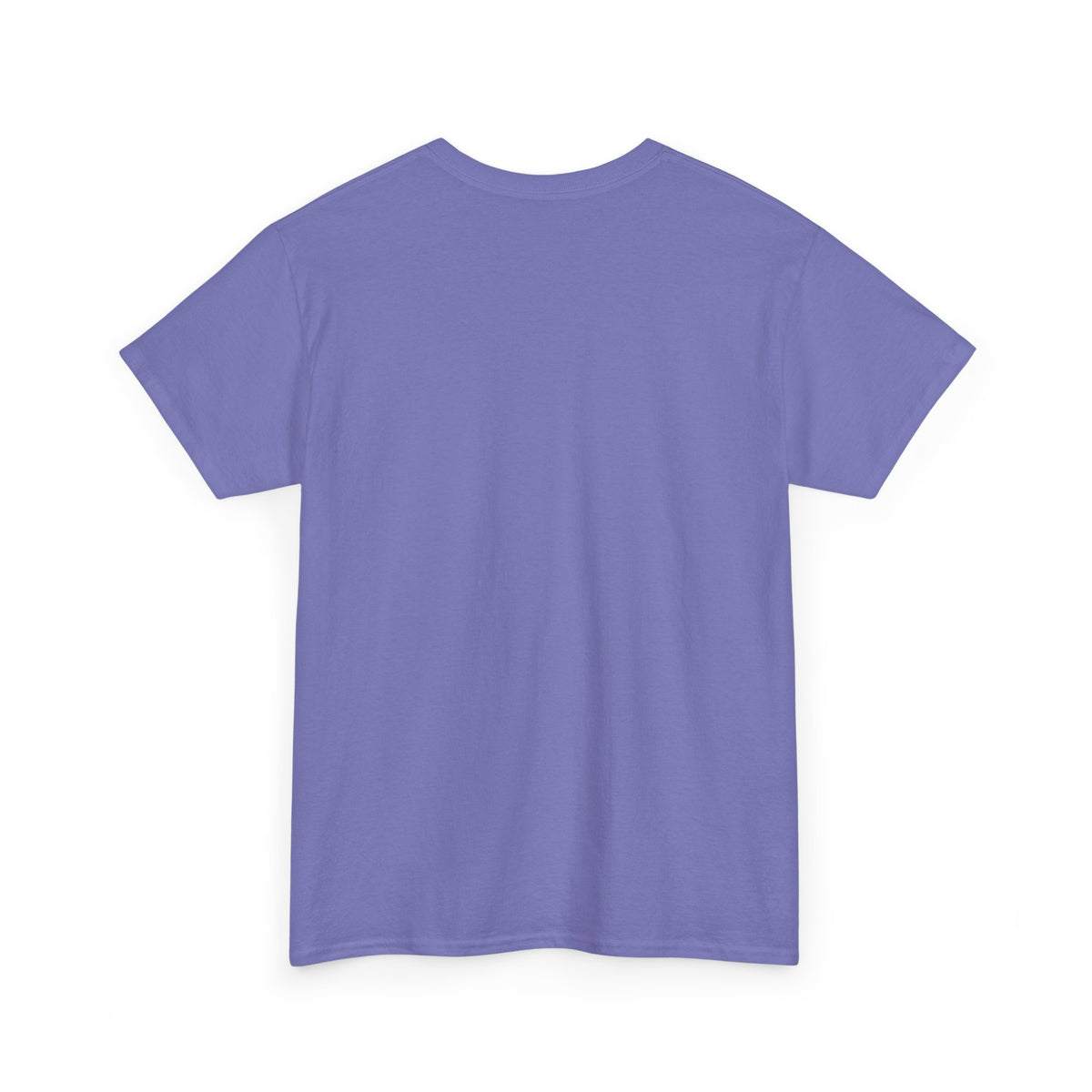 Whimsy Crystal Shop T-Shirt — Rainbow Moth Crystal Healing Tee
