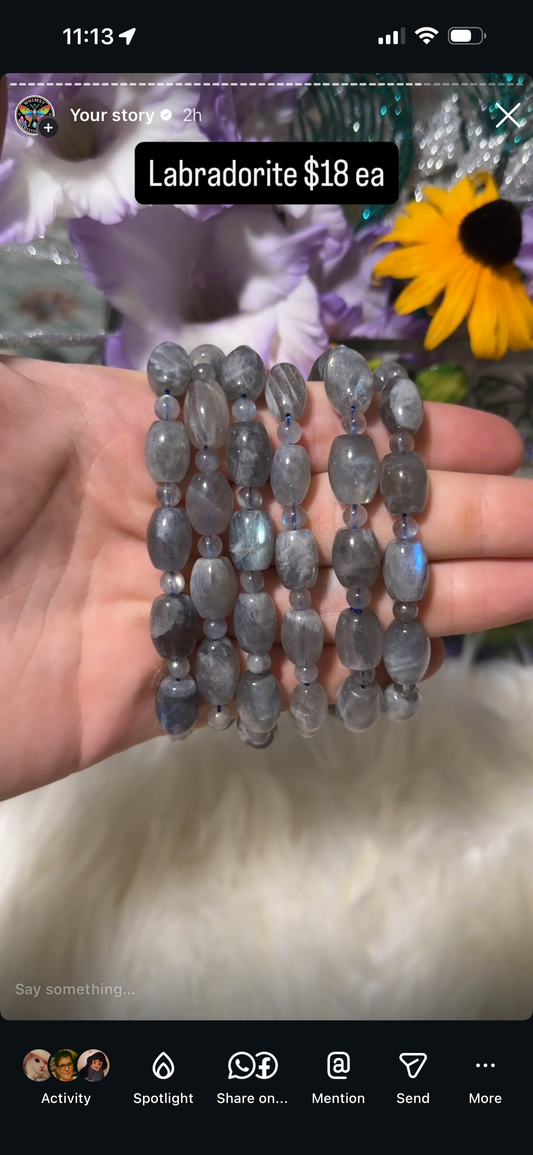Reserved the crystal dobie
