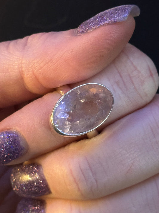 Reserved thrifty pittie