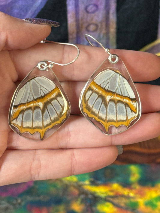 Ethically sourced butterfly wings in resin sterling silver