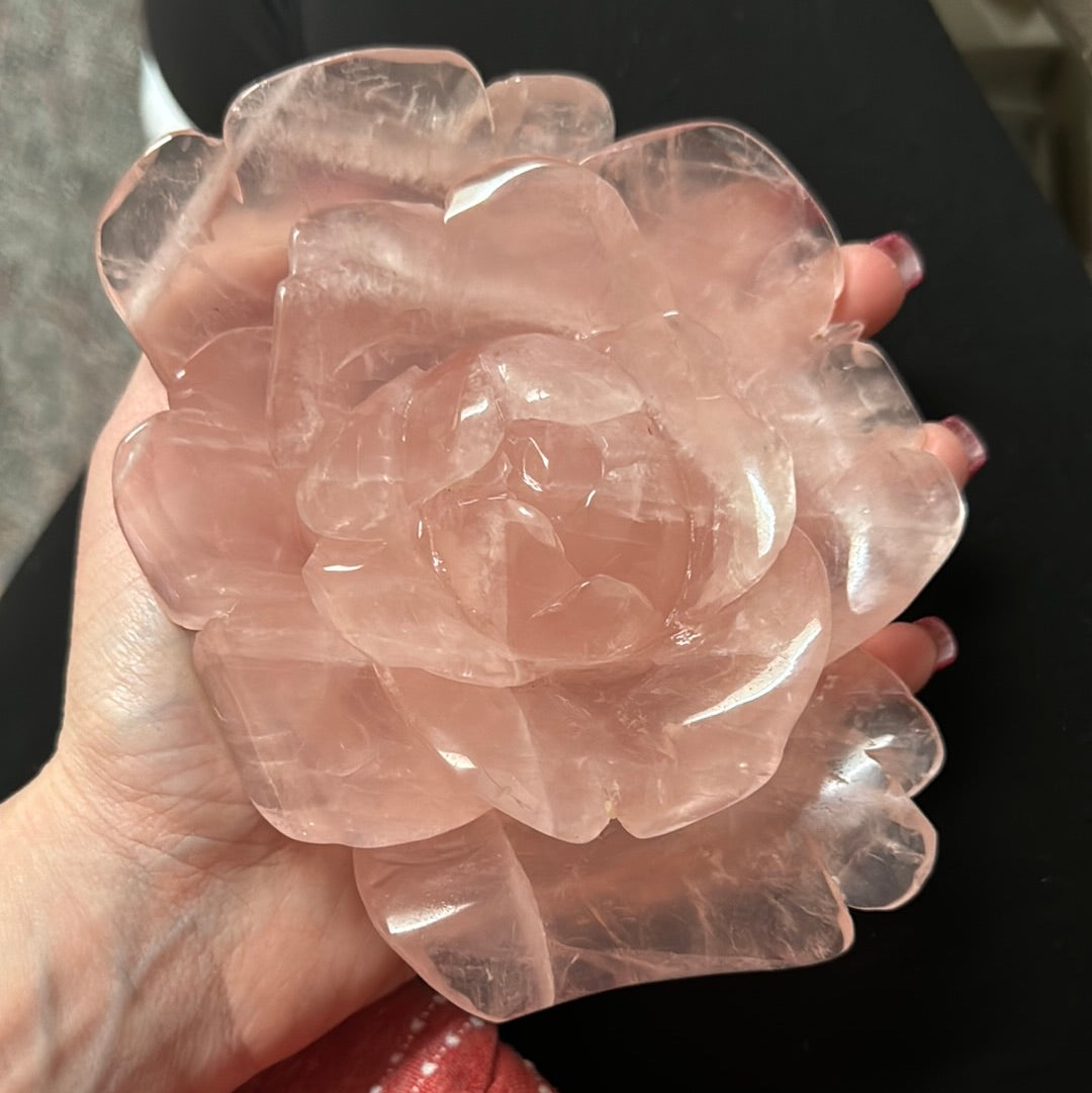 Reserved Scorpio ice queen
