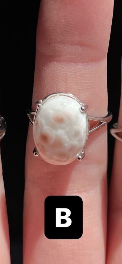 Reserved Danielle Nicole crystals