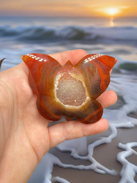 Carnelian druzy butterfly