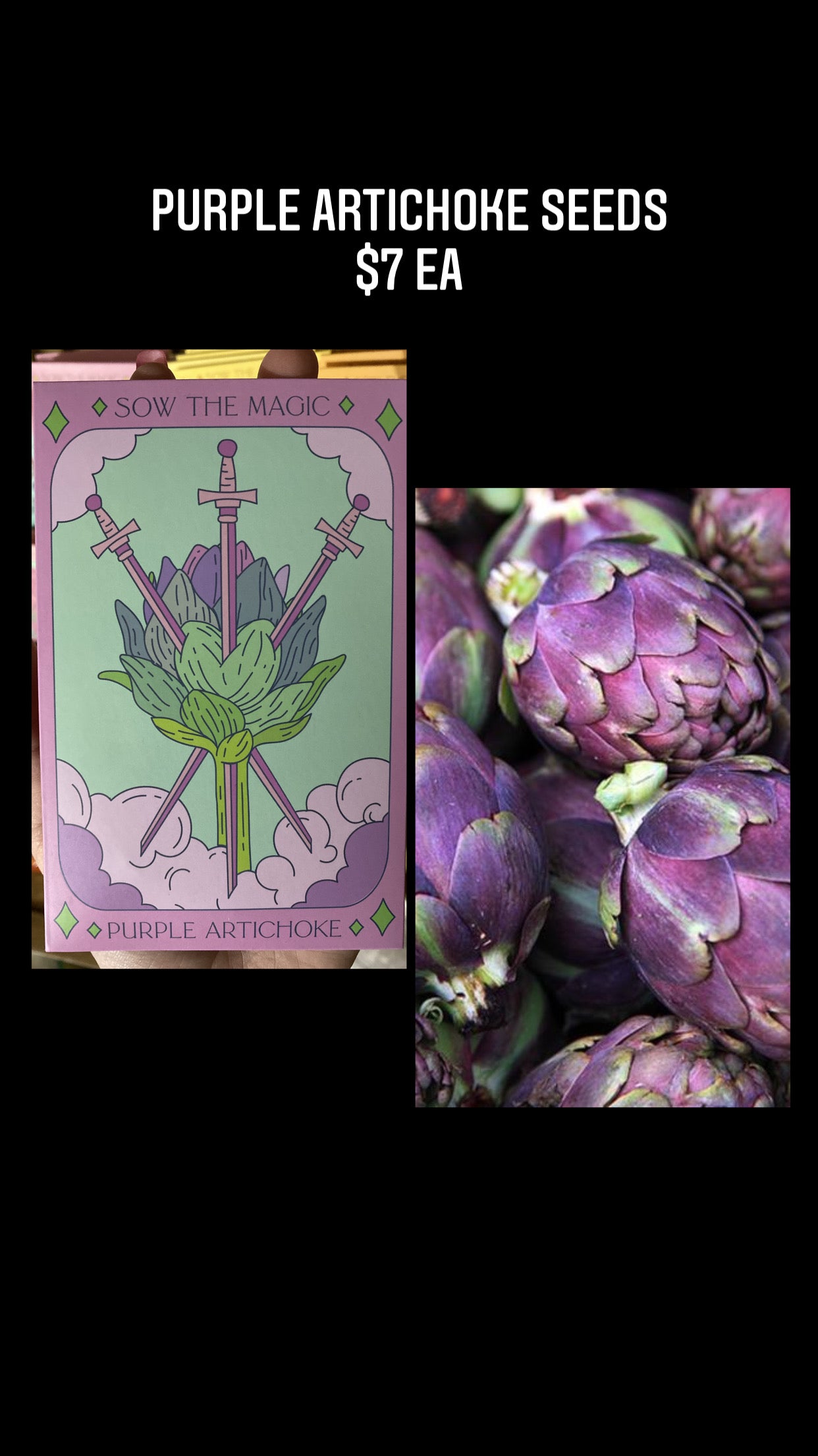 Purple Artichoke Seed Pack