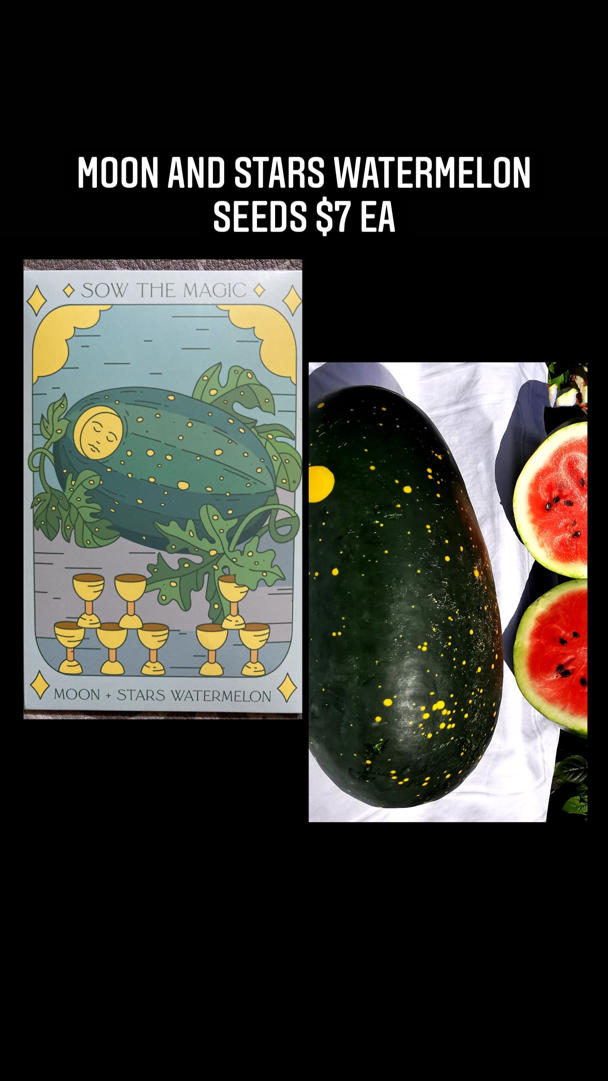 Moon and Stars Watermelon Seed Pack