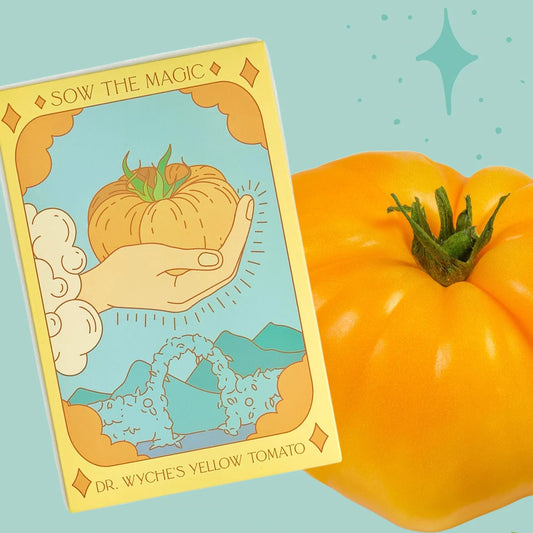 Dr. Wyche's Yellow Tomato Tarot Seed Packet